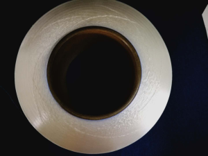 Polyester Fdy 30Denier/24filament